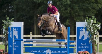 springen, springsport, horses, moussac, petersson, dutch sport horse sale, paarden, sportpaarden, springen, oliva, spanje, competitie